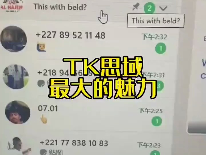 26. Tiktok矩阵化运营 指纹技术,可以设置独立ip,避免封号,无需手机网卡.批量私信,运营管理100个200个账号自动化发布动态,系统自带强大的视频裂...