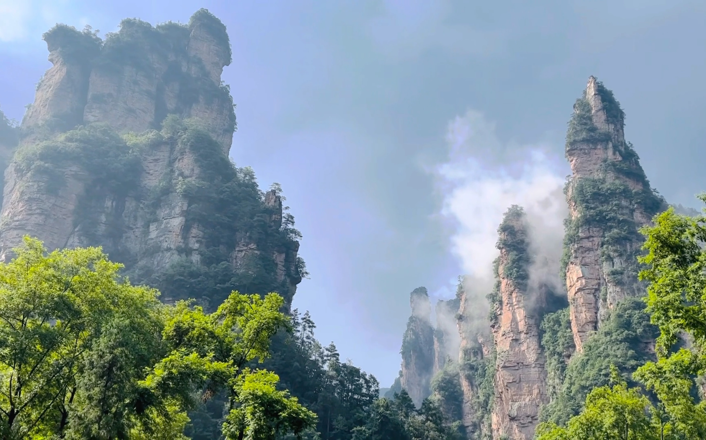 夏日出游vlog20220805张家界武陵源day1天子山十里画廊金鞭溪