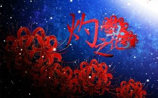 [图]【星尘·心华翻唱曲】灼之花【懿辰投稿一周年】