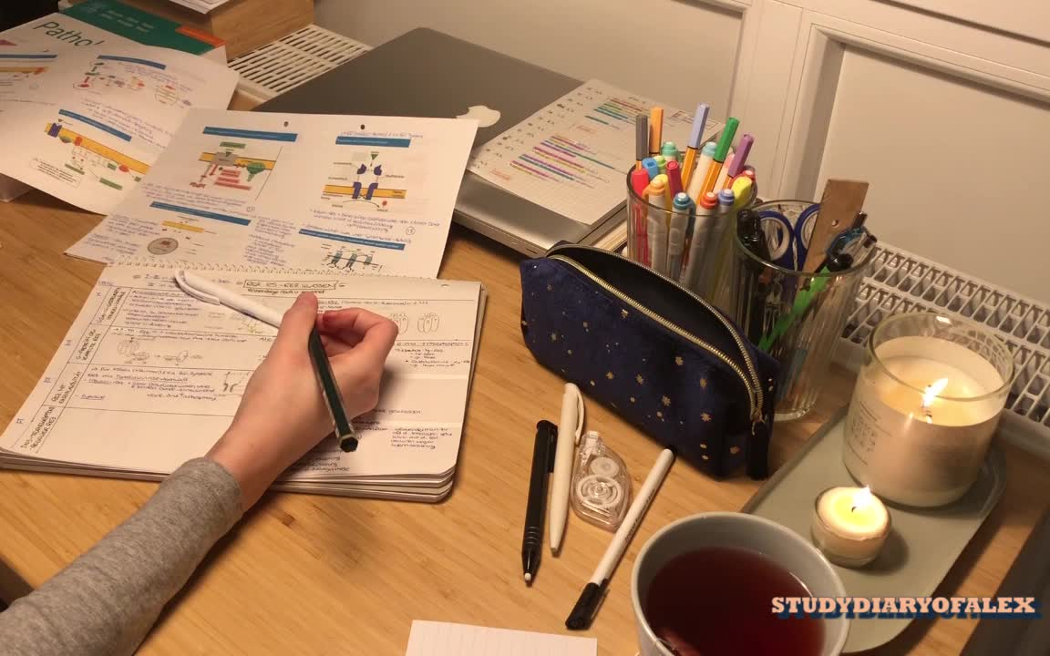 [图]【无BGM】STUDY WITH ME｜在家里一起学习吧｜实时学习 realtime study