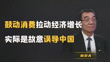 林毅夫:那些鼓动消费拉动经济增长的,不是蠢就是坏!哔哩哔哩bilibili