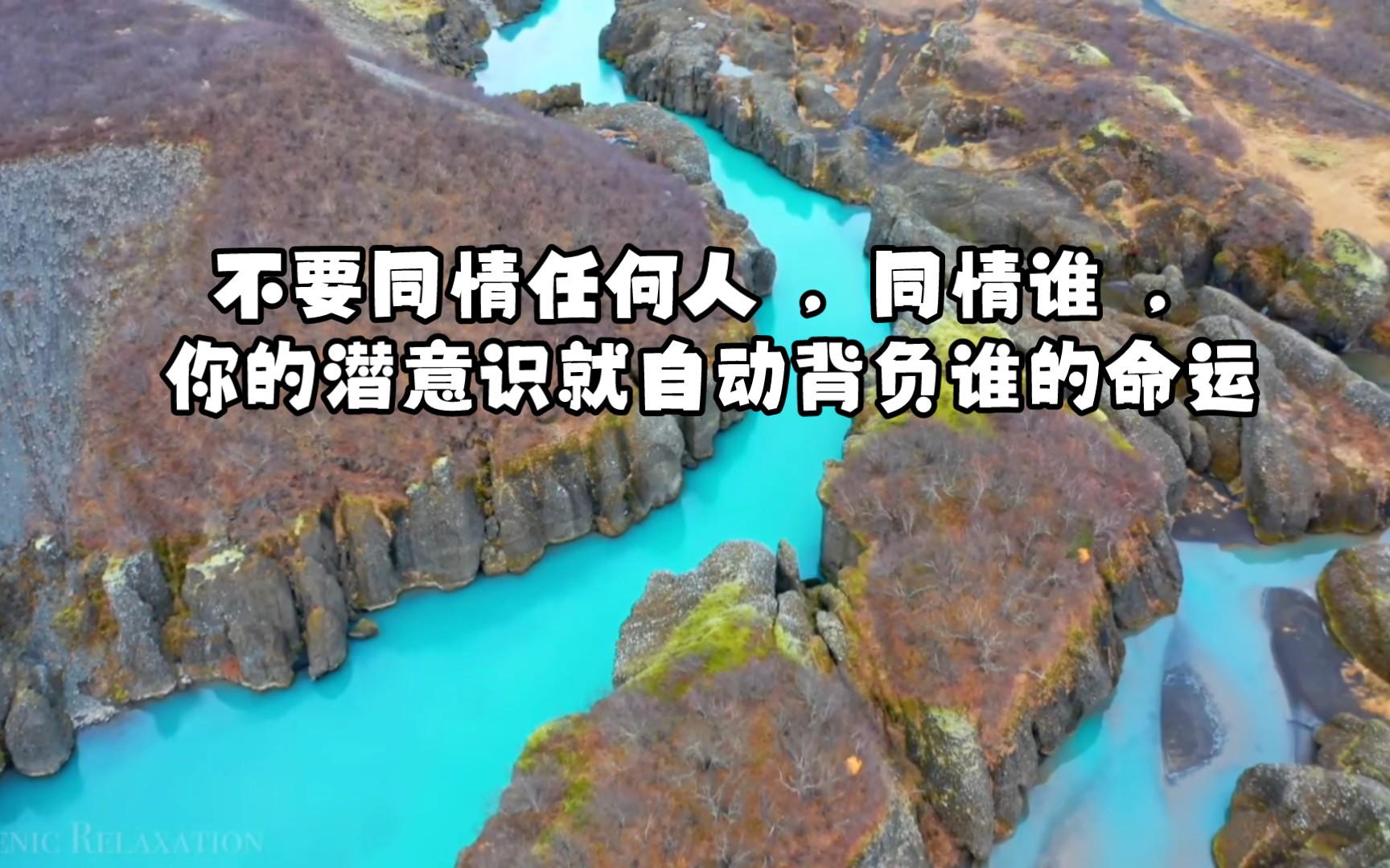 不要同情任何人 因为:同情谁 你的潜意识就自动背负谁的命运!