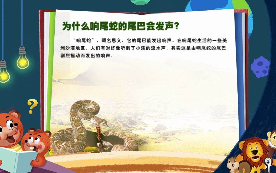 活动作品陆上动物3为什么响尾蛇的尾巴会发声mp4