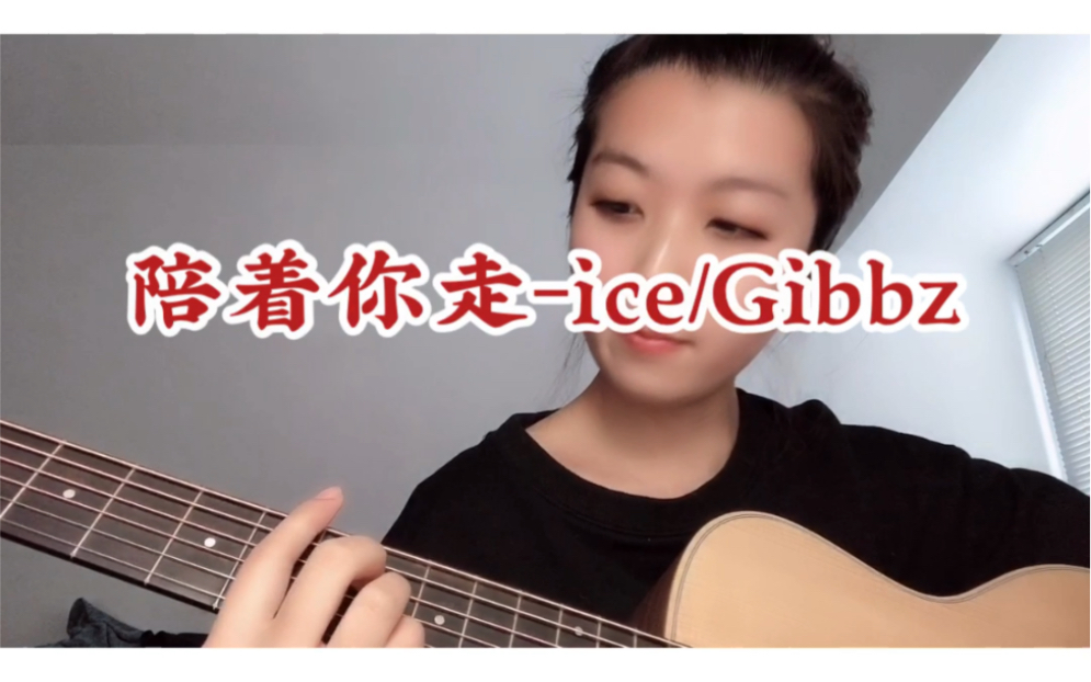 陪着你走ice/Gibbz哔哩哔哩bilibili