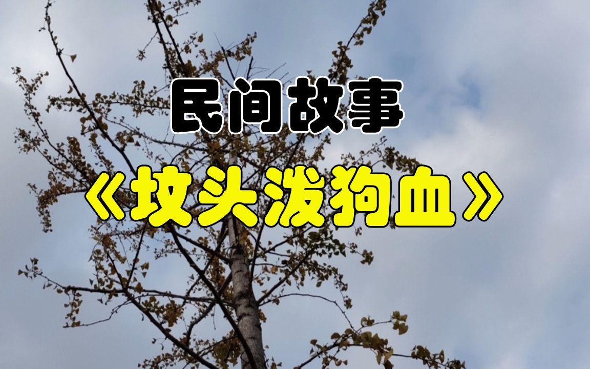 民间故事坟头泼狗血牛瘸子的腿是掏鸟窝摔断的