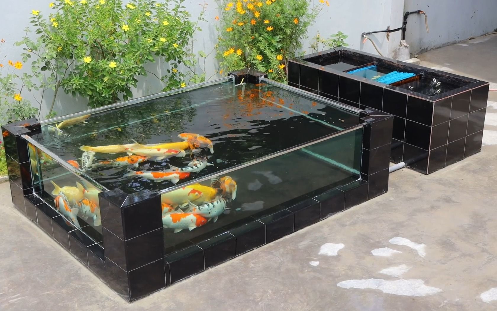 目前最流行的透明玻璃锦鲤鱼池建造全过程,一学就会,有地就行