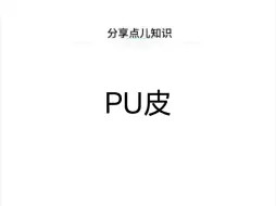 Download Video: 什么是pu皮？