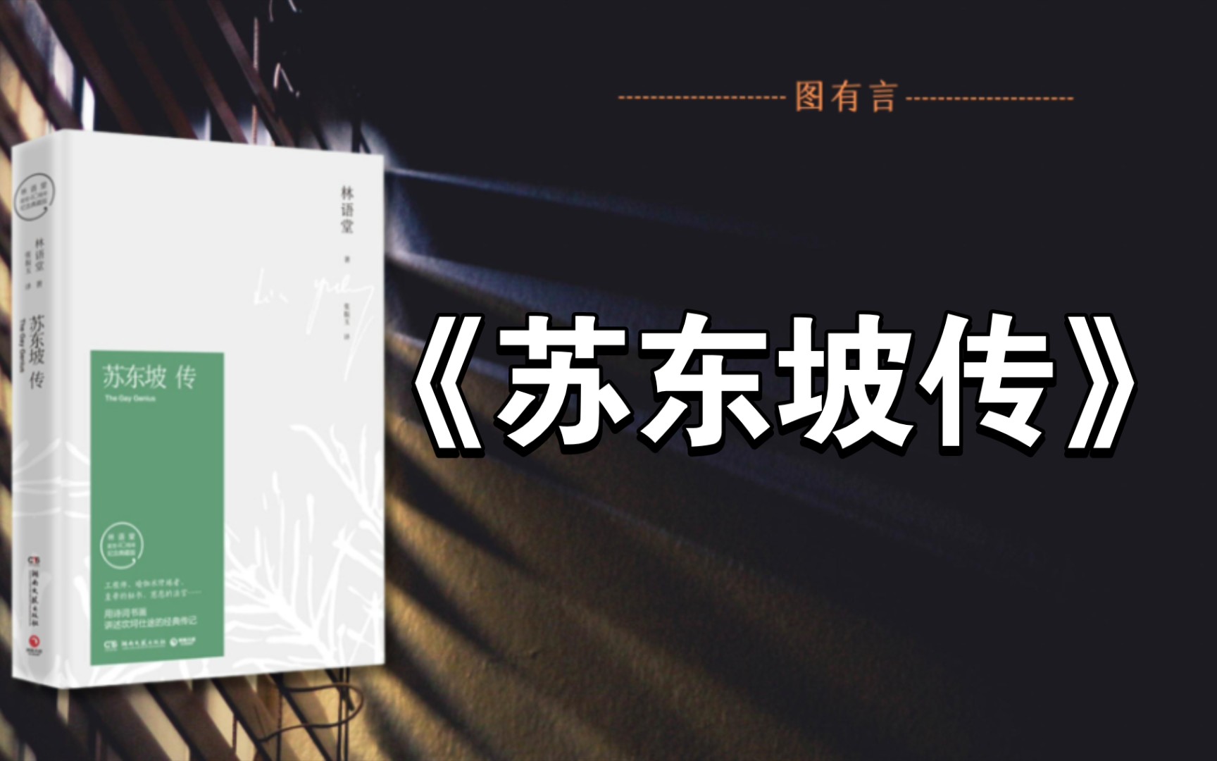 中国历代文人从政的标志性人生❗❗中国传记文学之经典哔哩哔哩bilibili