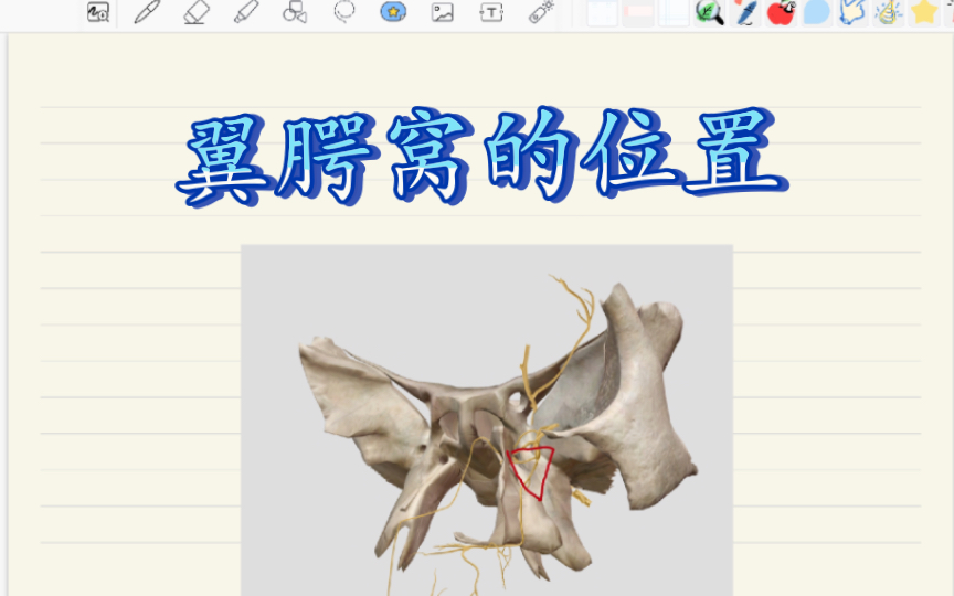 【口解生】!四分钟搞定翼腭窝的位置哔哩哔哩bilibili