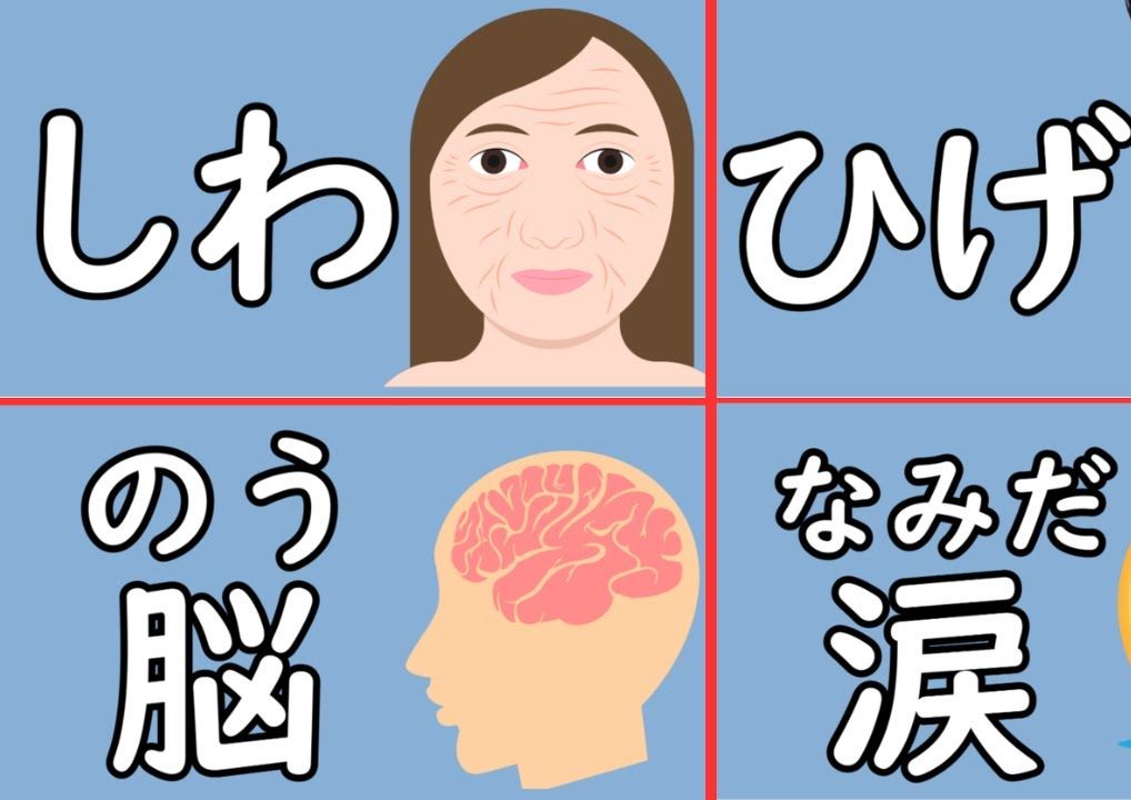 【日文】100 个关于身体的日语名词,增强你的词汇量哔哩哔哩bilibili