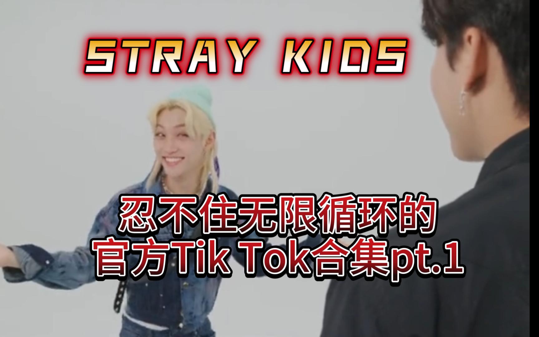 [图]【Stray Kids】忍不住无限循环的官方Tik Tok合集pt.1