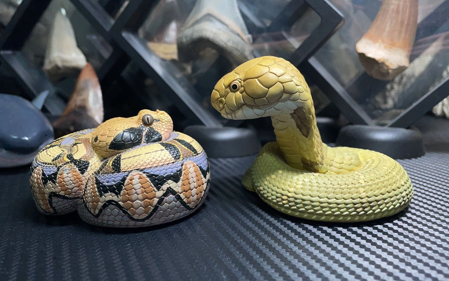 动物星球心宽体胖手办——鲨鱼,虎鲸,加蓬,kc