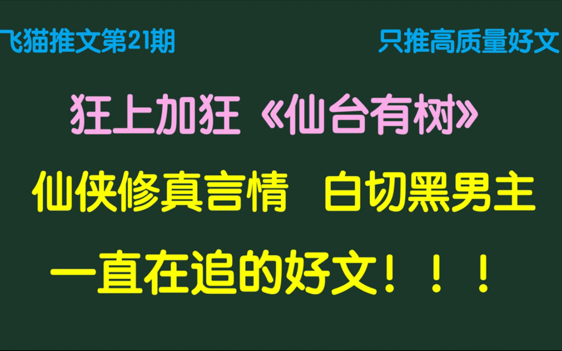 【飞猫推文21】【言情BG】第21期言情小说推荐来啦,一直在追的好文,推了又推~哔哩哔哩bilibili