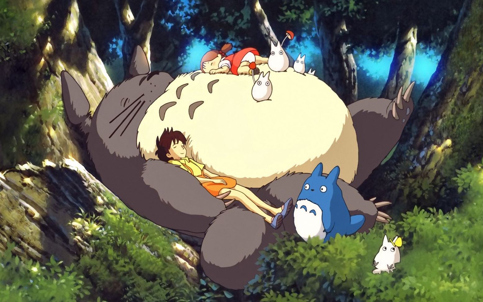 宫崎骏动漫龙猫法语版片段米找到龙猫啦