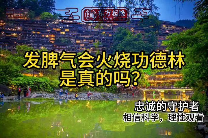 关于火烧功德林的看法