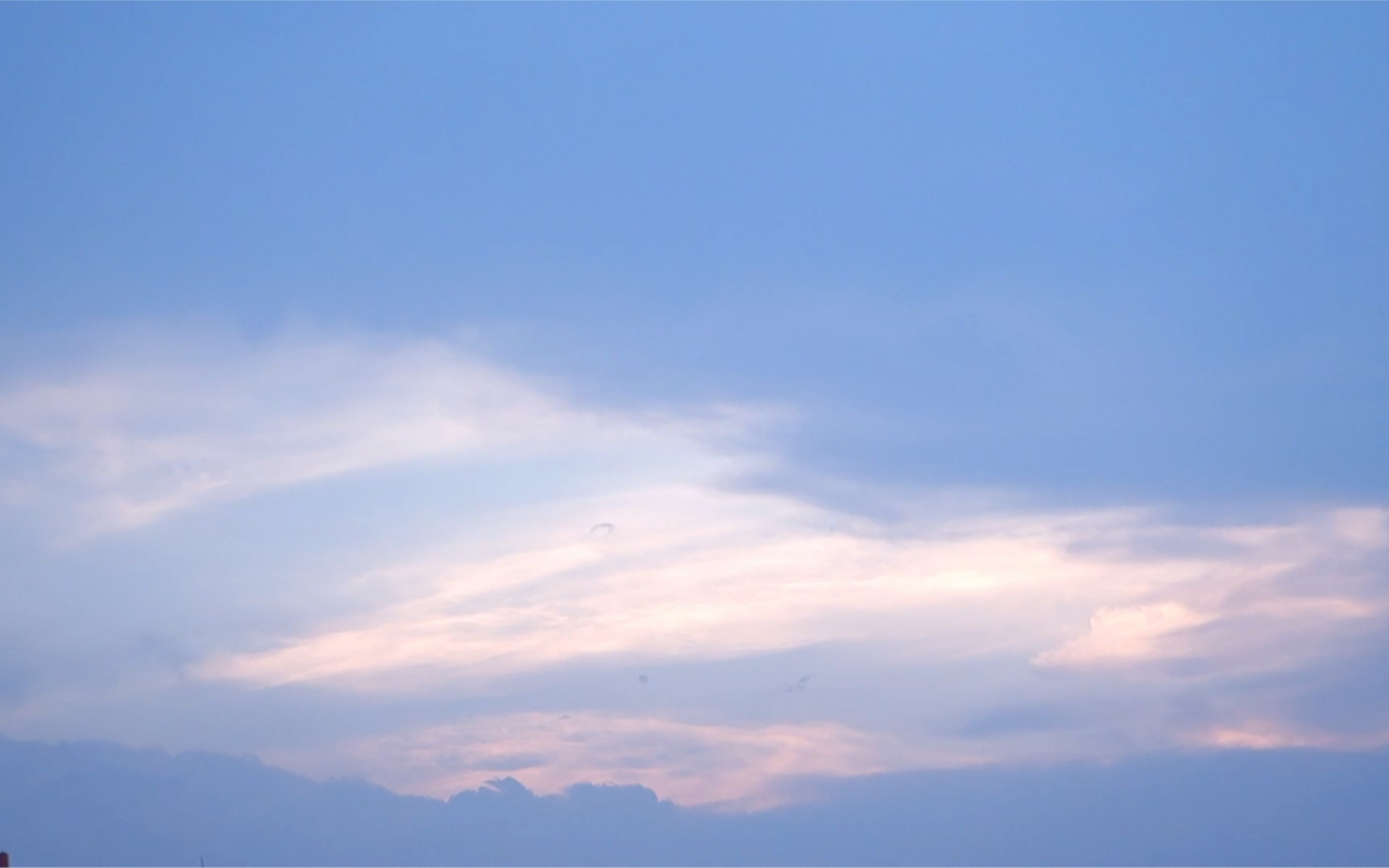 专属天空的温柔