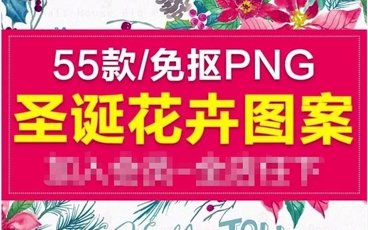 冬季圣诞花卉果花圈植物免抠海报请柬装饰PNG图案素材哔哩哔哩bilibili