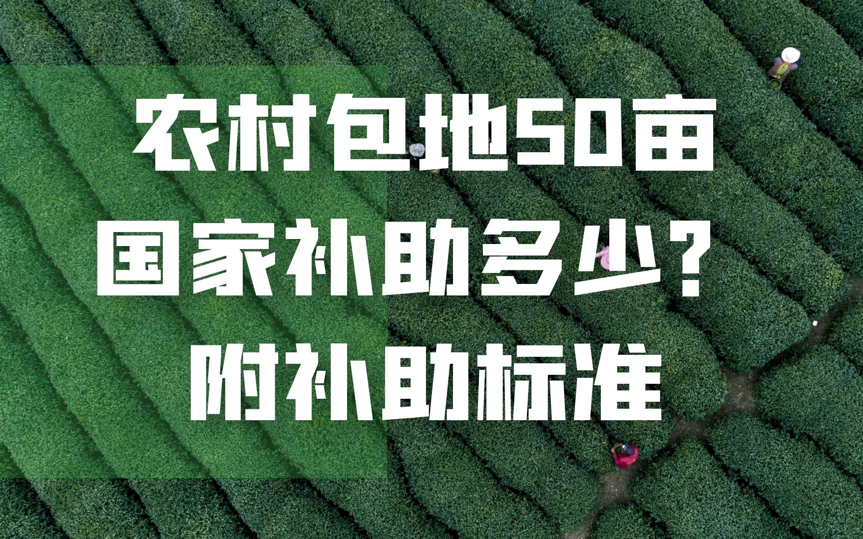 农村包地50亩国家补助多少?附补助标准哔哩哔哩bilibili