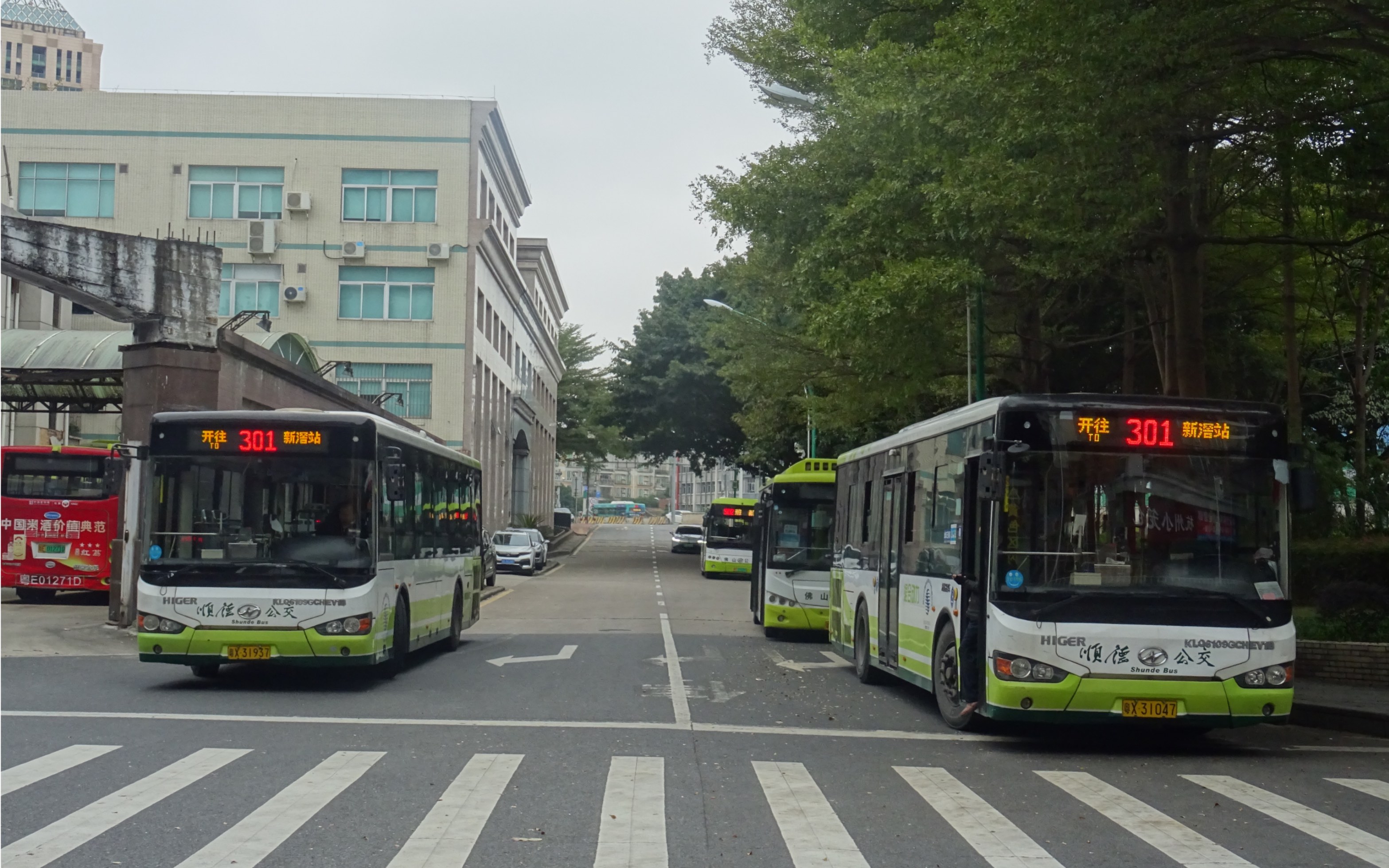 【云乘车】佛山市顺德区顺汽公交有限公司苏州金龙海格牌klq6109gchev