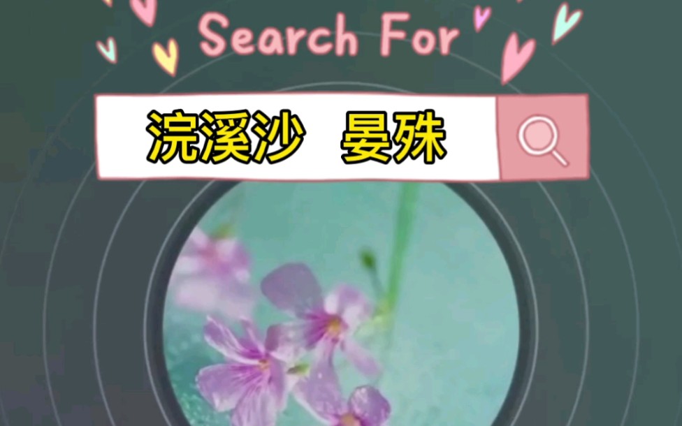 浣溪沙晏殊喜欢古诗古文吗?哔哩哔哩bilibili