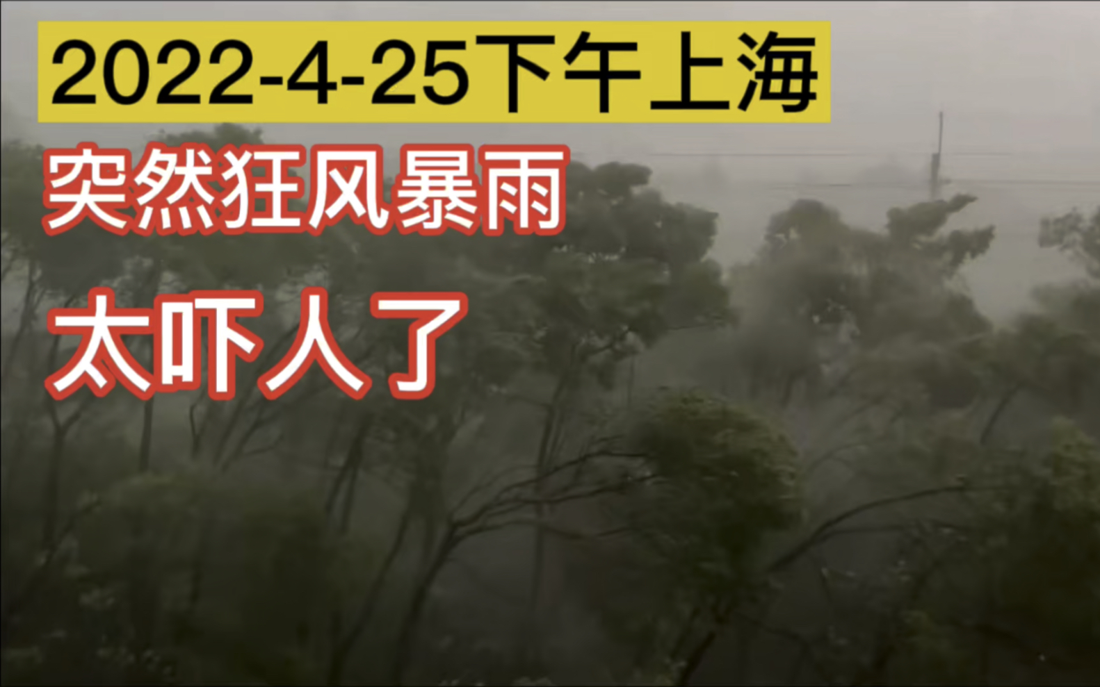 [图]4月25日下午上海突然狂风暴雨，这风雨也太猛、太吓人了