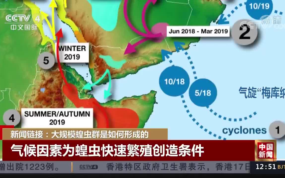 2020大规模蝗虫群是如何形成的