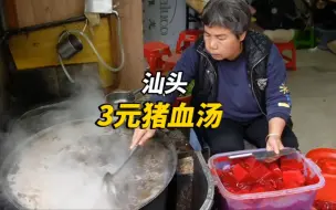 Descargar video: 潮汕3元猪血汤，用大铁锅卖了20年，没店名却火遍整条街