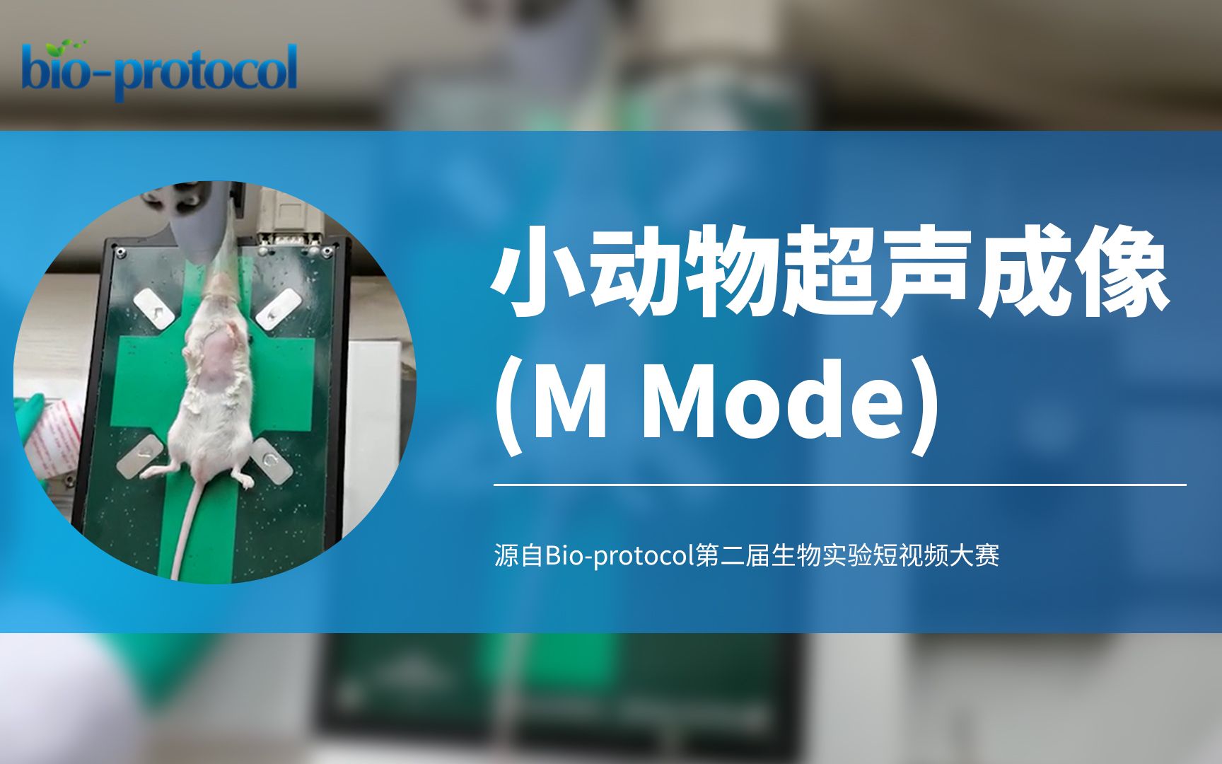 【Bioprotocol】小动物超声成像哔哩哔哩bilibili