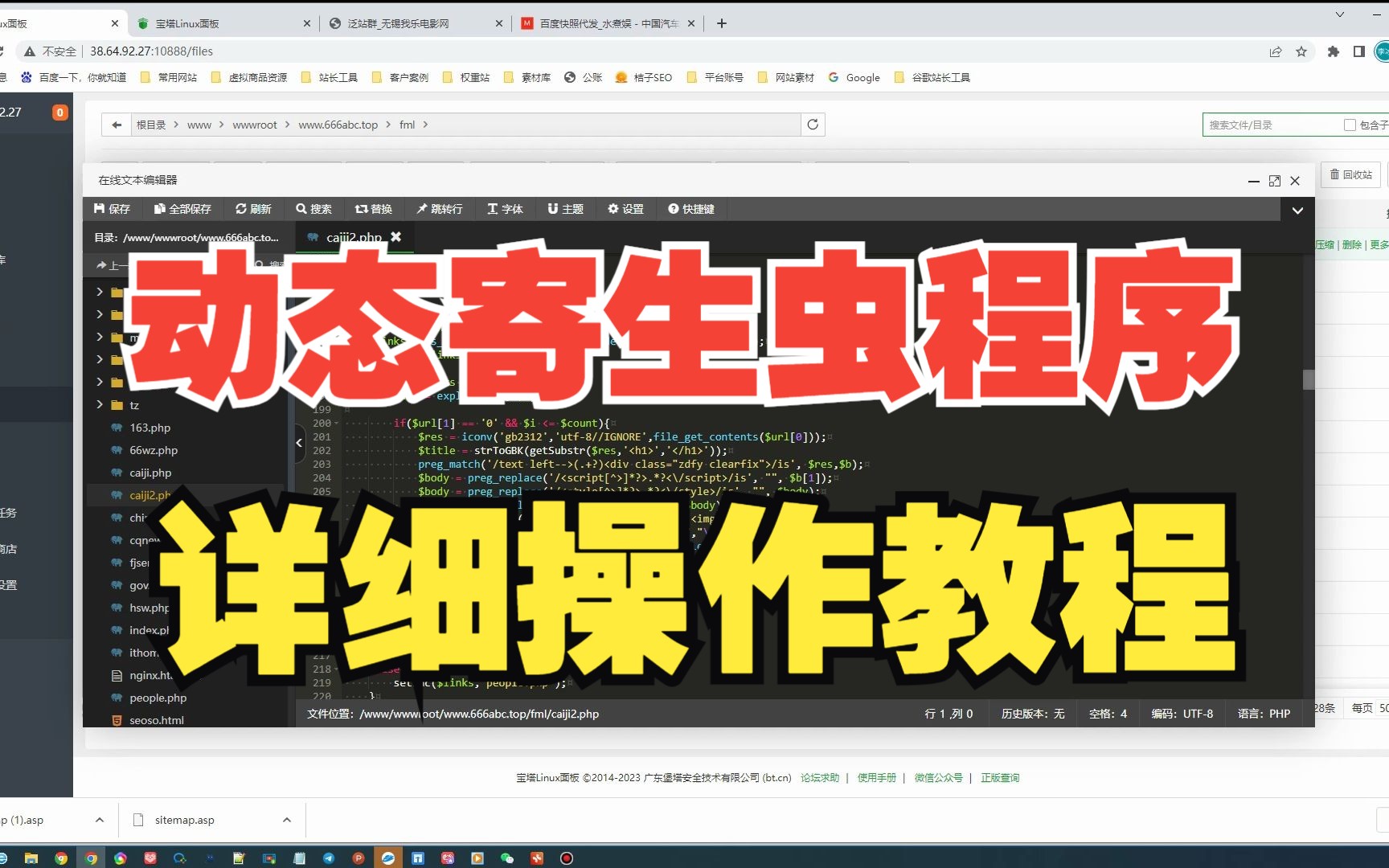 动态寄生虫php程序的使用站群搭建源码教程哔哩哔哩bilibili