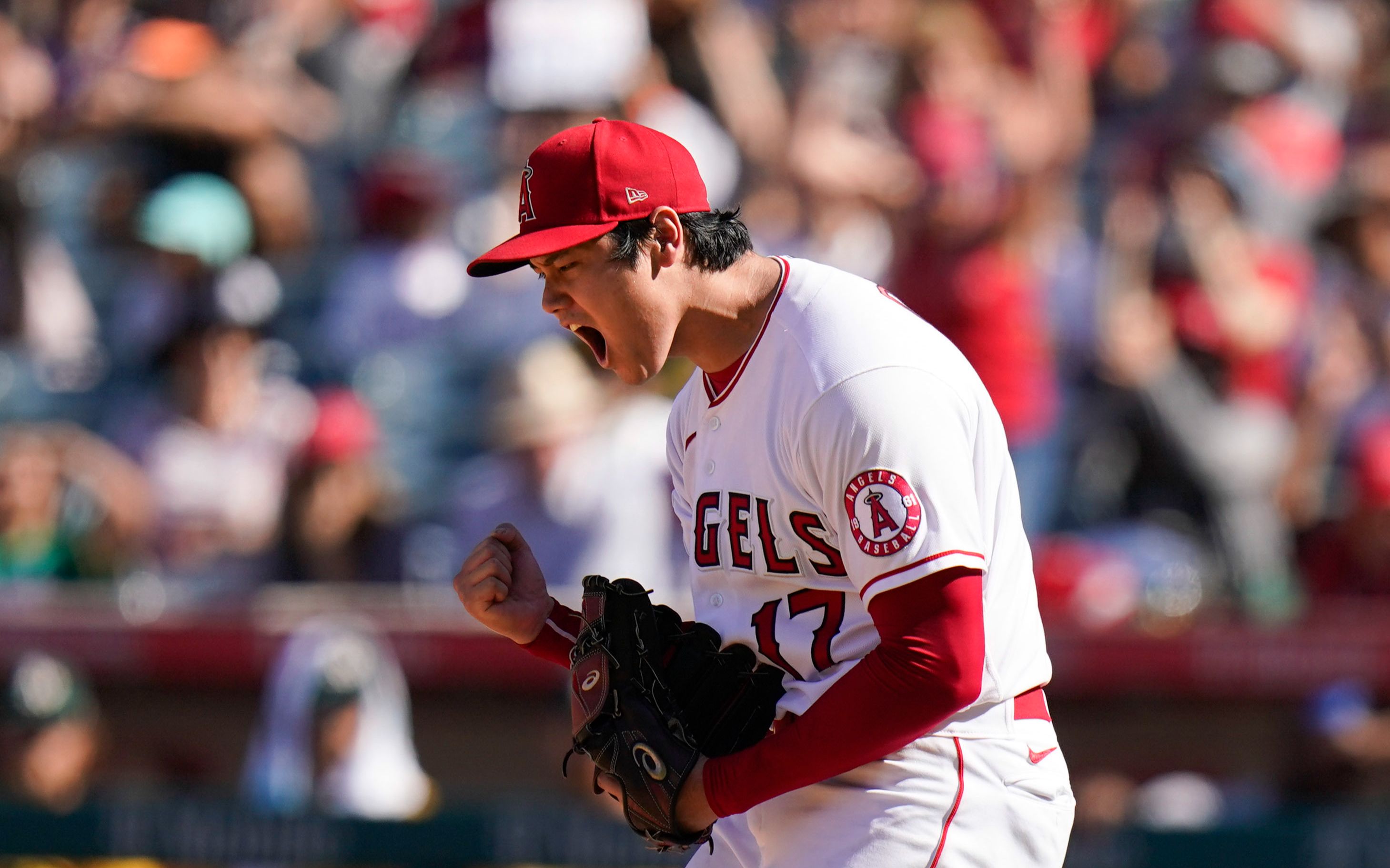 进来欣赏今年美联mvp,"二刀流天才"大谷翔平的风采!