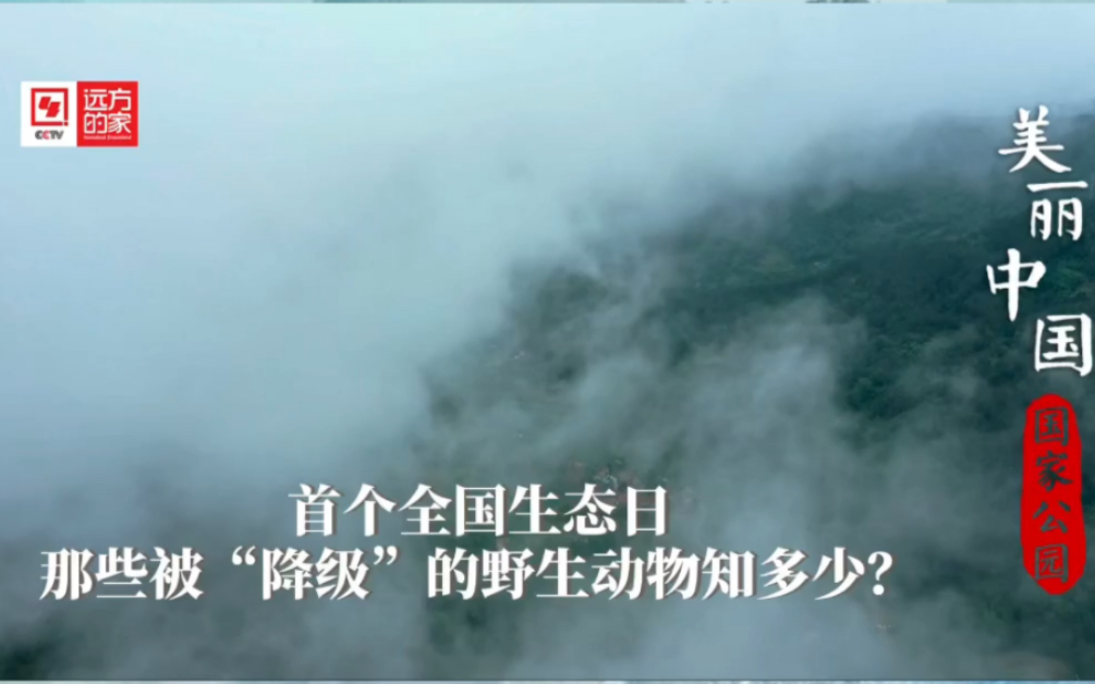 [图]2023年8月15日，首个全国生态日，盘点一下喜提“降级”的野生动物。#绘就美丽中国新画卷 #全国广电新媒体集结发光 #美丽中国远方的家