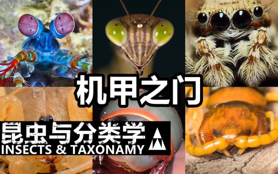 萝王2号的个人空间 哔哩哔哩 Bilibili