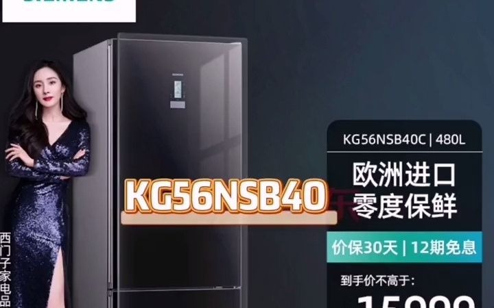 110_siemens_西门子 kg56nsb40c欧洲进口480升大容量双门冰箱零度保鲜