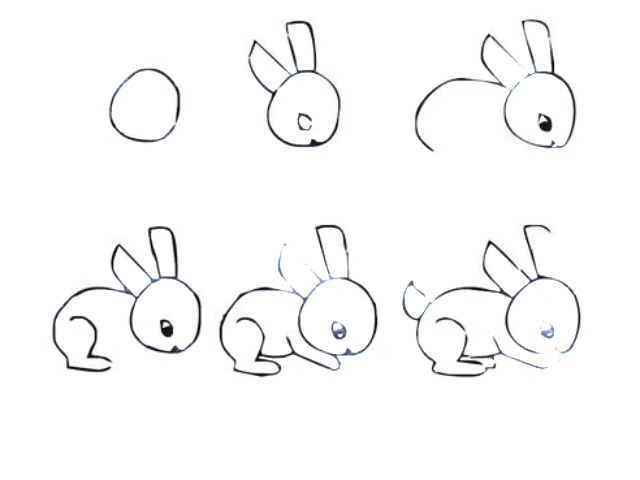 二年级简笔画画兔子图片