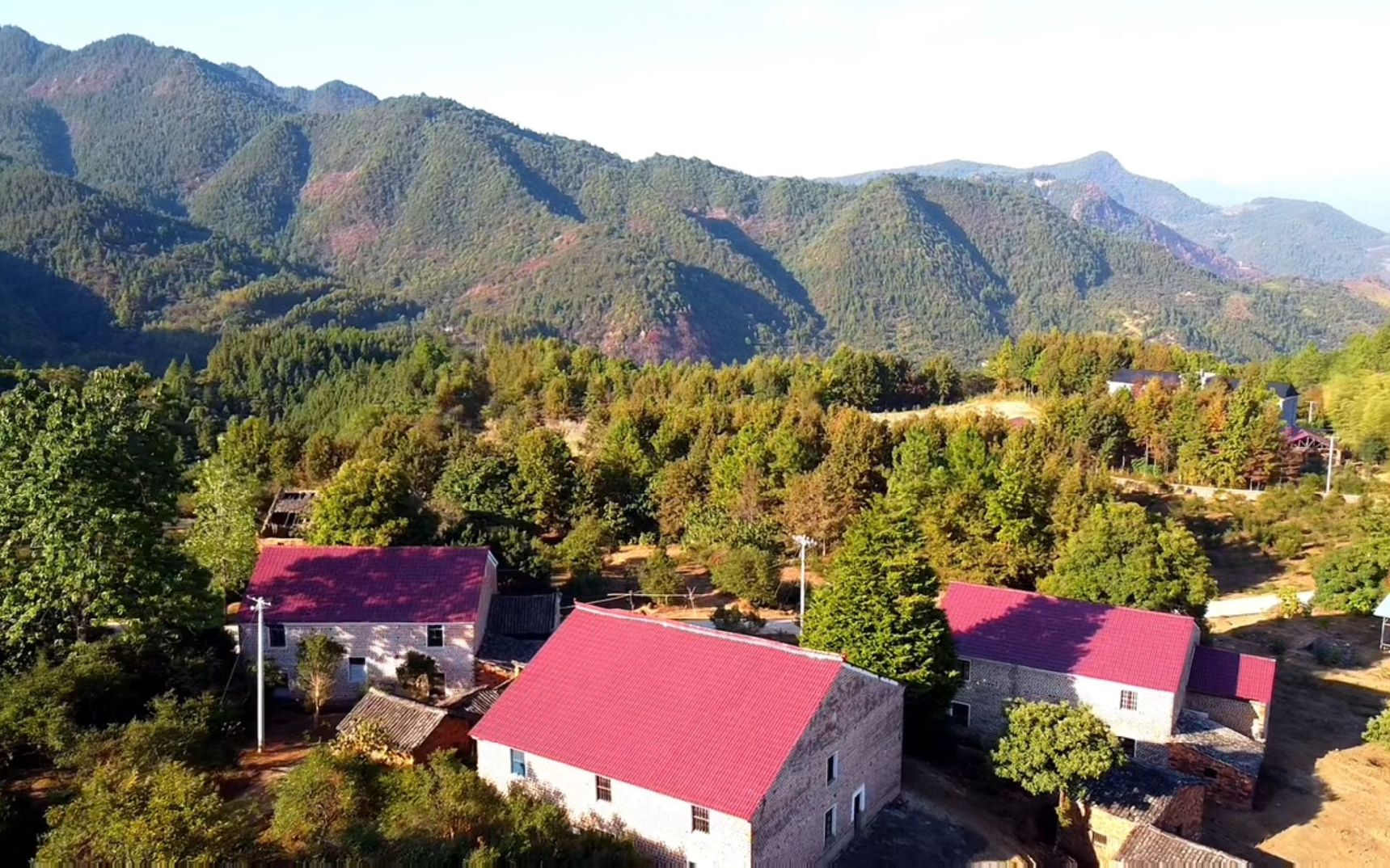 江西大山里发现无人村,湖北大姐在村里生活后,整个村子有了灵魂哔哩哔哩bilibili