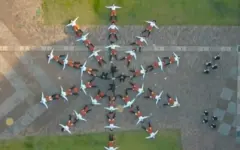 字幕版一镜到底MV OK Go - I Won't Let You Down