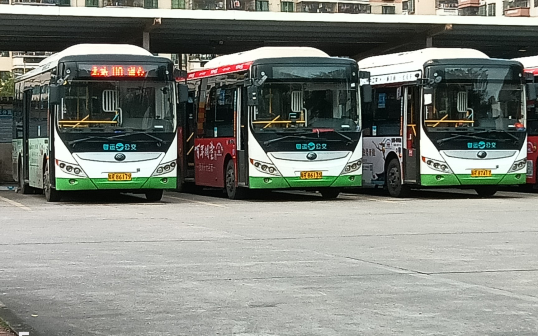 『清远公交』小云杉拍车记