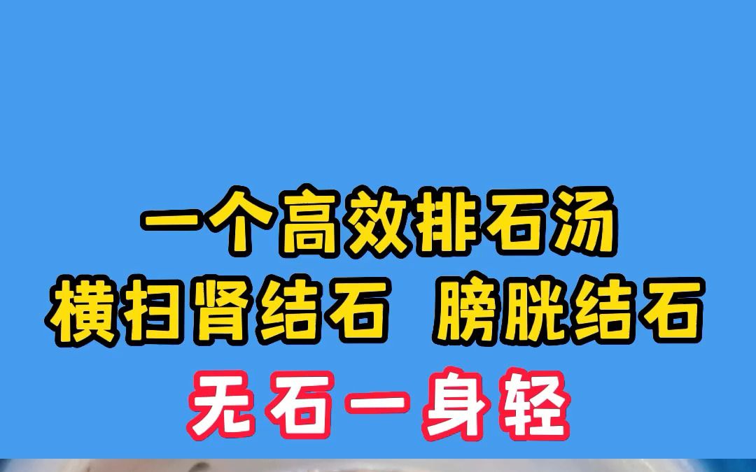 一个高效排石汤,横扫肾结石、膀胱结石,无石一身轻!哔哩哔哩bilibili