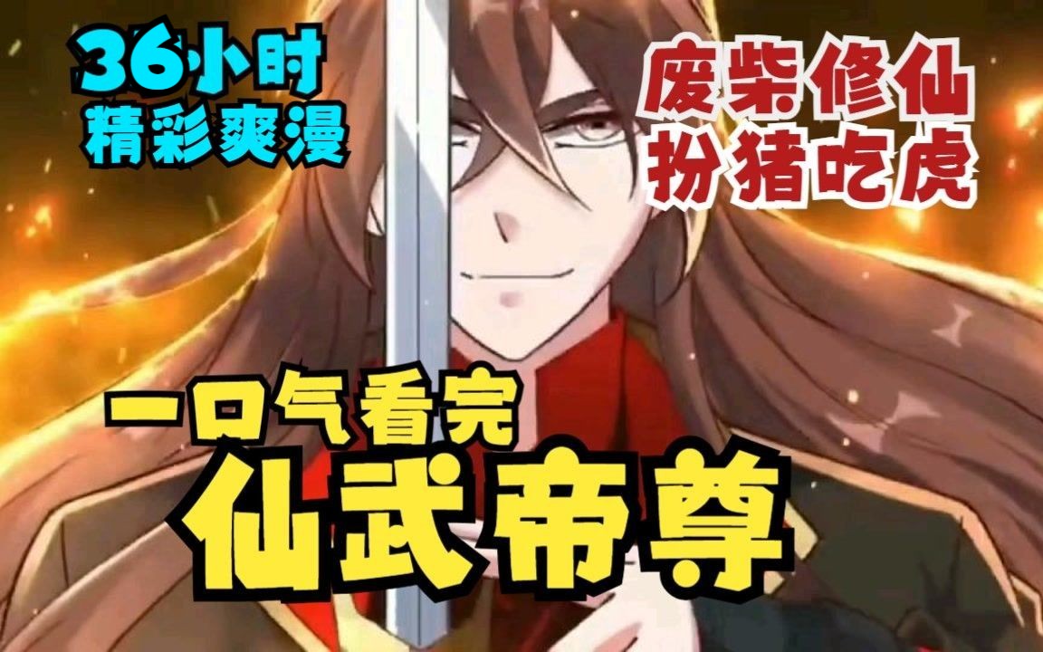 【36小时】爽漫《仙武帝尊》废柴扮猪吃虎,踏破仙武!