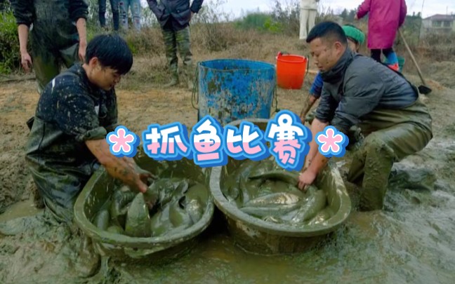 包下一口十多年没干过的鱼塘,约小飞哥一起抓鱼比赛