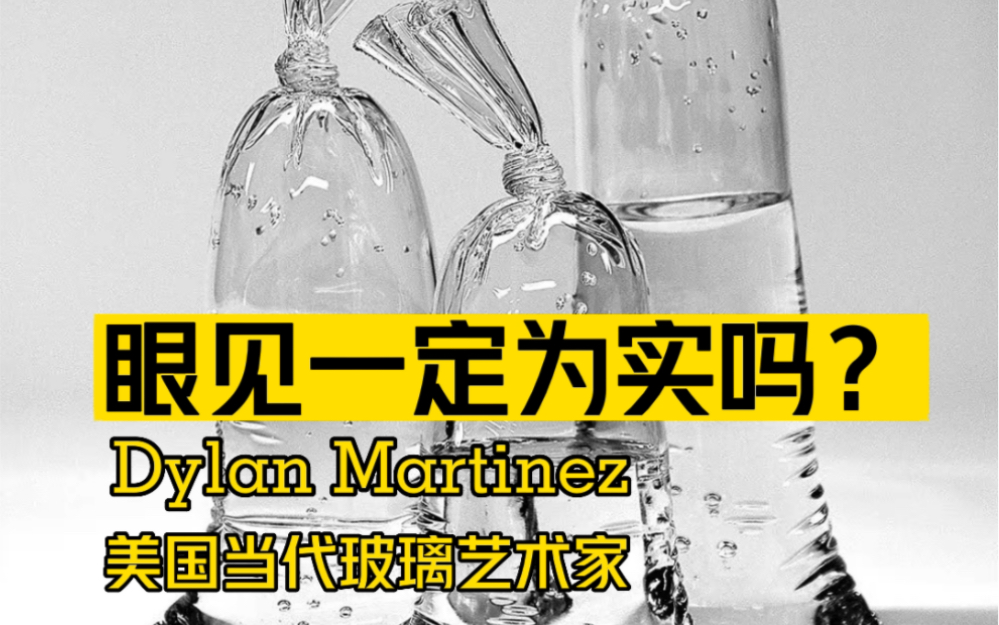 眼见一定为实吗?Dylan Martinez 美国当代玻璃艺术家哔哩哔哩bilibili