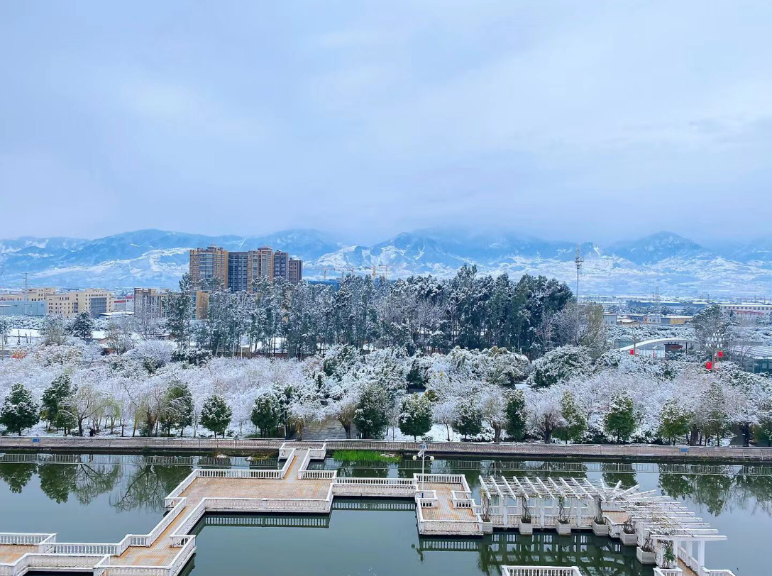 [湾湾、歪歪、叮叮和西门庆]西昌今年下了好几场雪了,幸好学校里有阿姨在照顾着猪猫们,阿姨辛苦啦~哔哩哔哩bilibili