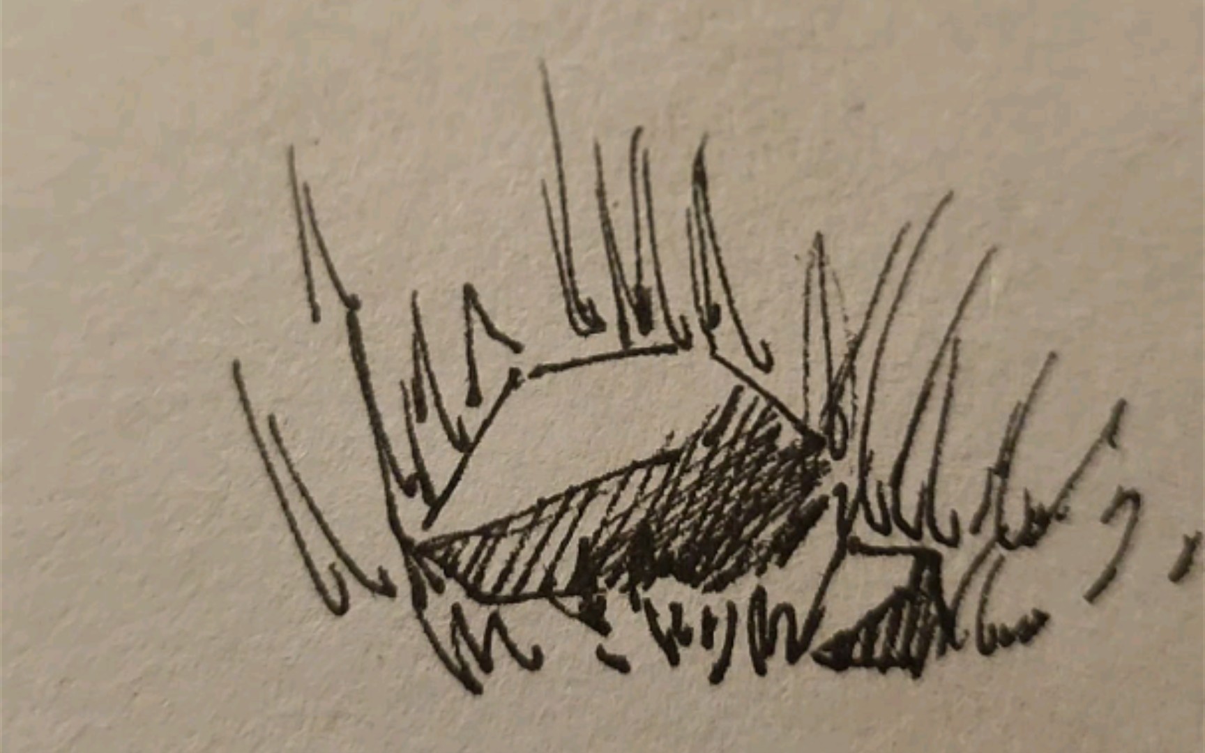 针管笔速涂石头背景