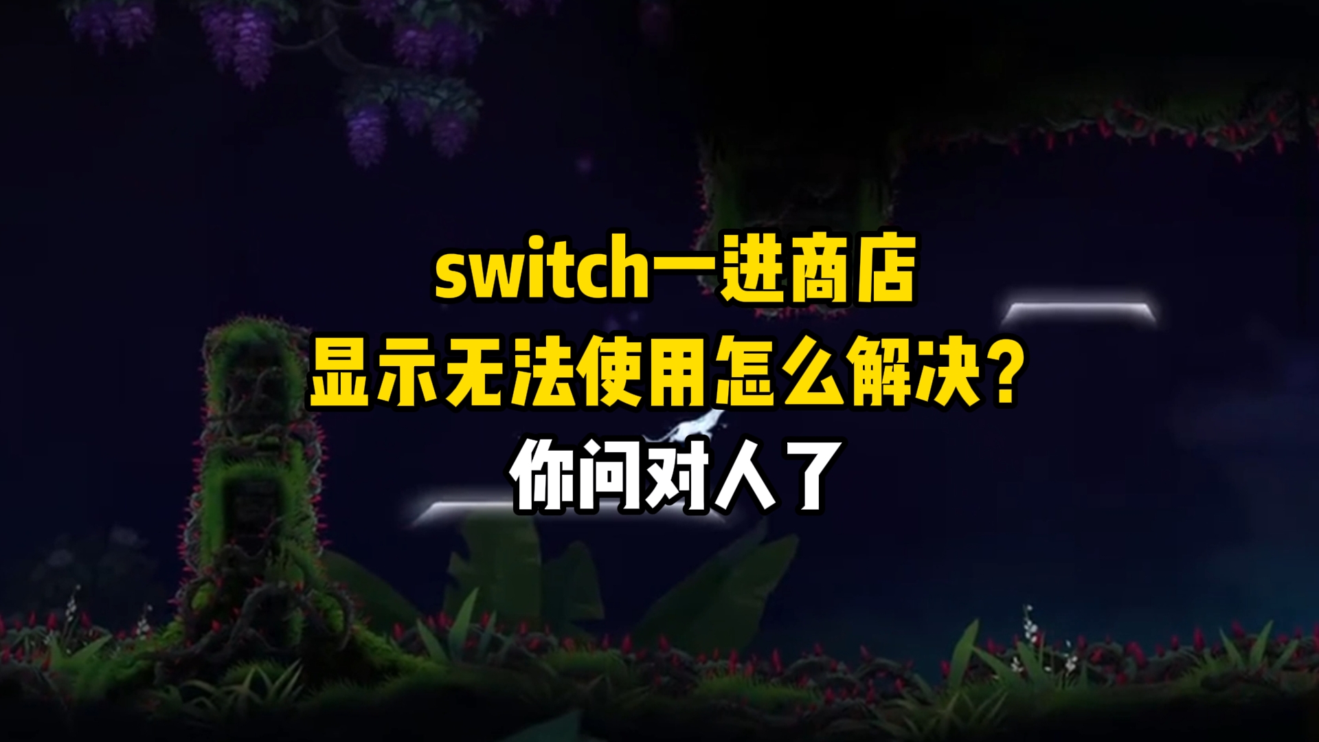 switch一进商店就显示无法使用怎么解决?你问对人了