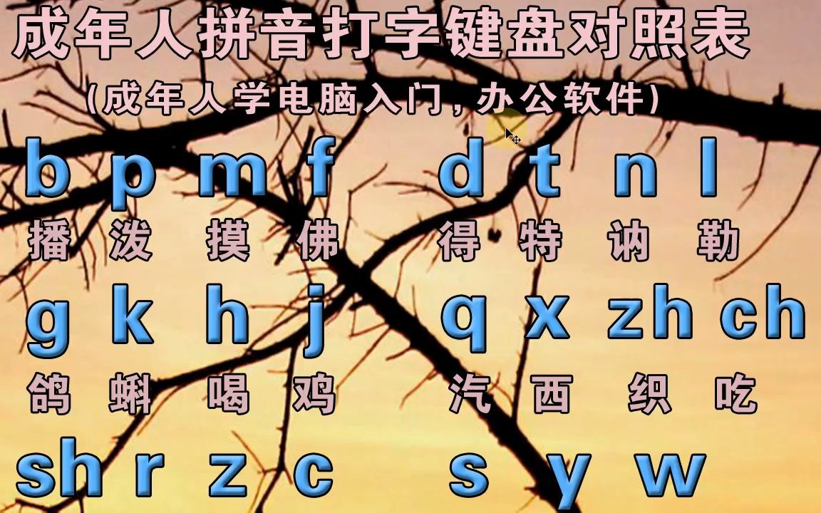 成人拼音打字入門教學,零基礎學漢語拼音字母表,打字訓練入門