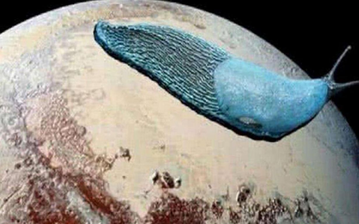 美国探测器拍到冥王星巨型生物体型堪比摩天大楼长相酷似蜗牛