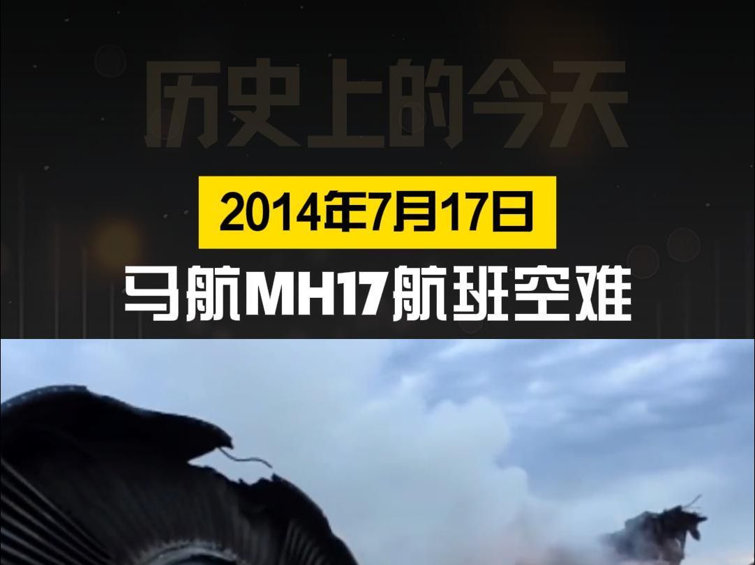 历史上的今天ⷮŠ2014年7月17日哔哩哔哩bilibili