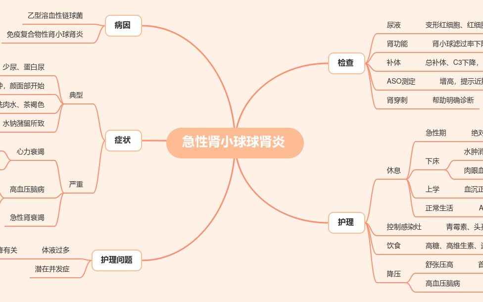 泌尿系统思维导图哔哩哔哩bilibili