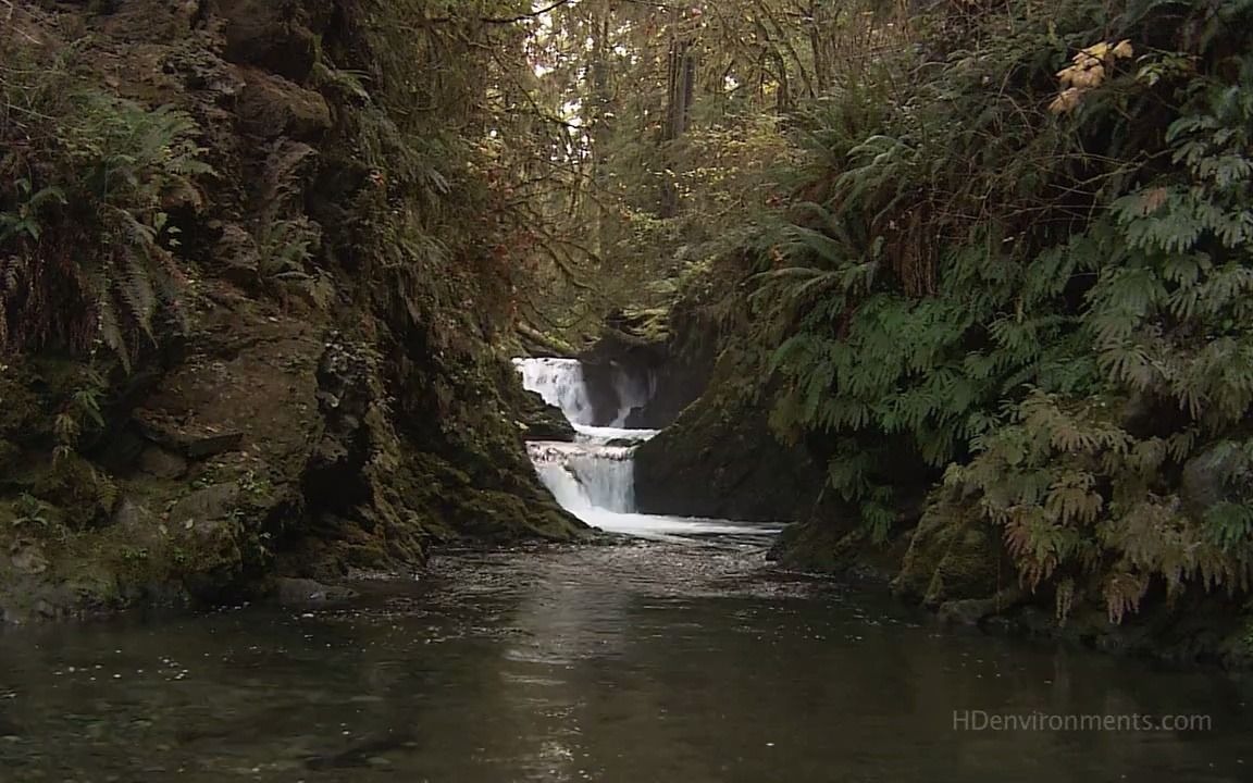 [图][世界上最美丽的地方·奥利匹克热带雨林].Living.Landscapes.Earthscapes.Olympic.Rainforest.2008.BluRa