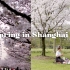 A Beautiful Spring Day in Shanghai